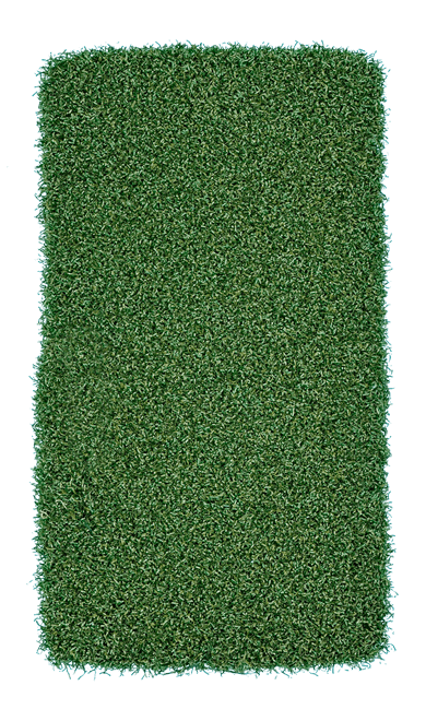 Bentgrass Elite