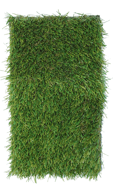Pet Grass